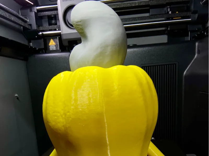 ARTICULATED MULTI-PART CASHEW FRUIT