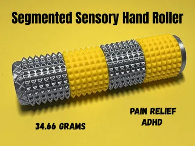 Segmented Sensory Hand Roller