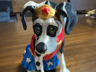 Wonder Dog