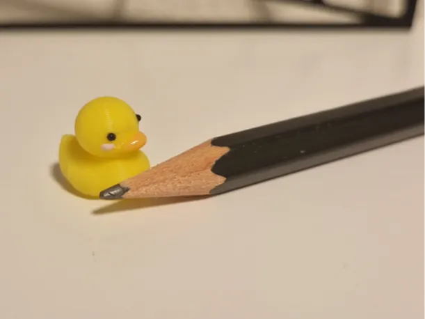 Small Duck