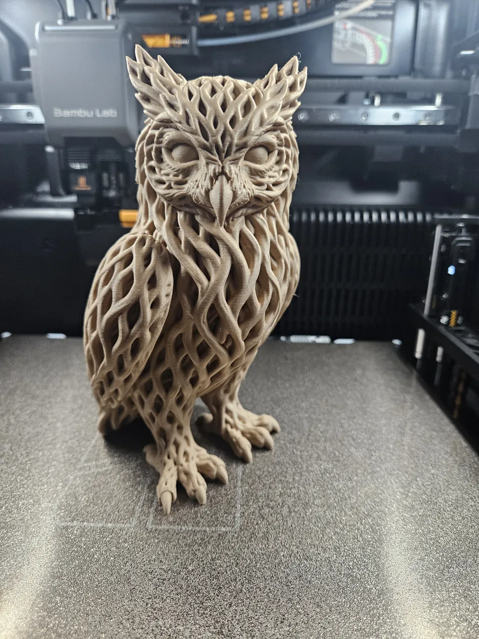Rootwoven Eule view 2