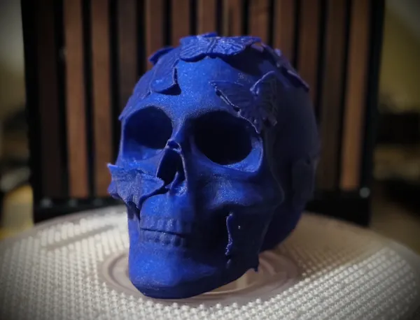 https://makerworld.bblmw.com/makerworld/model/US78891fece5901d/design/2025-01-18_0ifd0u5g8il9.jpg