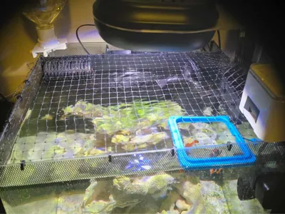Mesh Netting Cover Clips for Fluval 9 Gallon