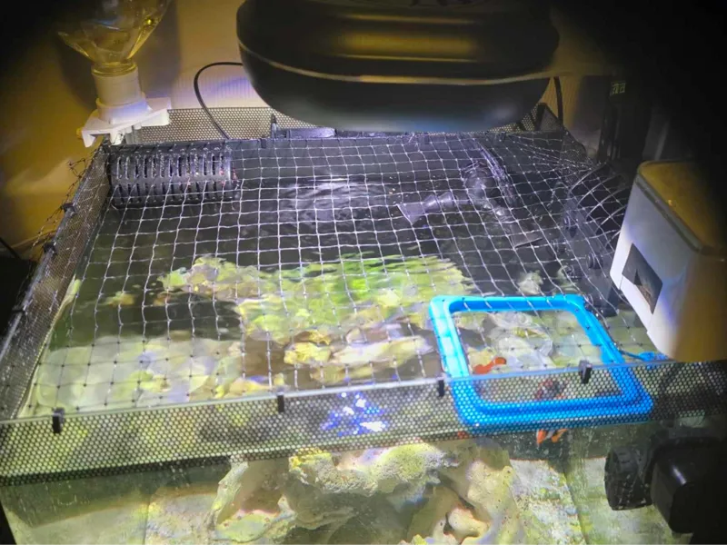 Mesh Netting Cover Clips for Fluval 9 Gallon