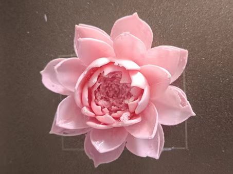 Miniatura 2 do modelo 3D 荷花