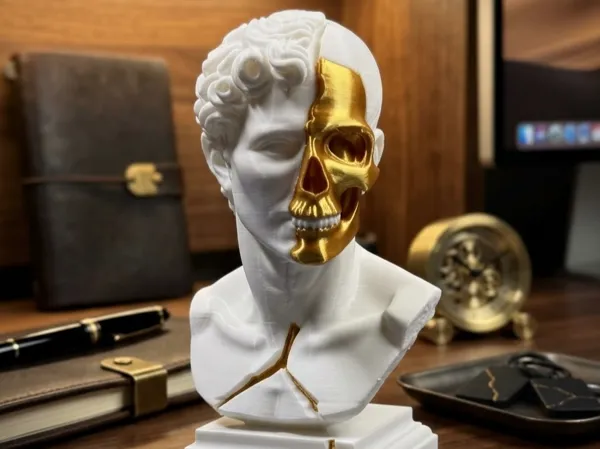 https://makerworld.bblmw.com/makerworld/model/US78915391c4106a/design/c12a8a7864124e9d.jpg