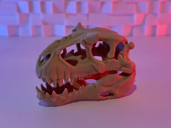 https://makerworld.bblmw.com/makerworld/model/US78954c2a4d487a/design/2025-07-04_33ac8edd02ff3.jpeg