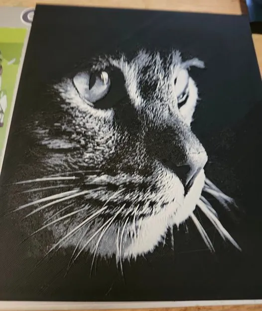 cat1