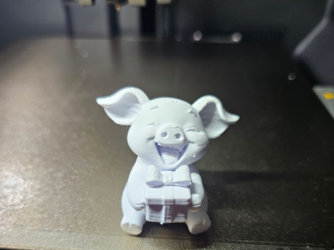 Glücksschwein Geschenk - Cartoons aus aller Welt