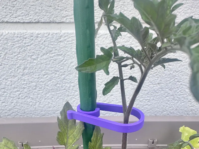 Abrazadera para Plantas