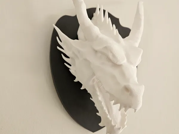 https://makerworld.bblmw.com/makerworld/model/US78afcd9f2633a4/design/2025-03-09_867894d7ee71.jpg