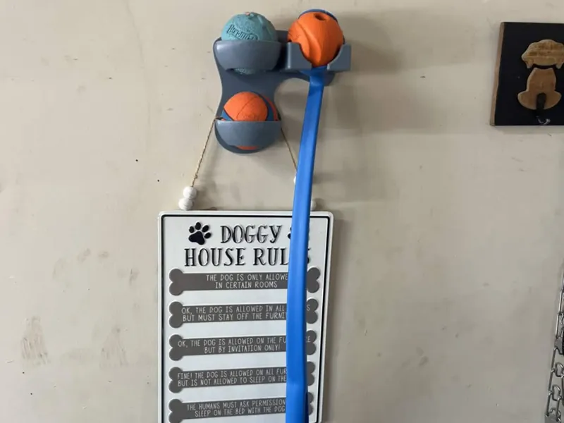 Chuck It Ball Thrower Hanger