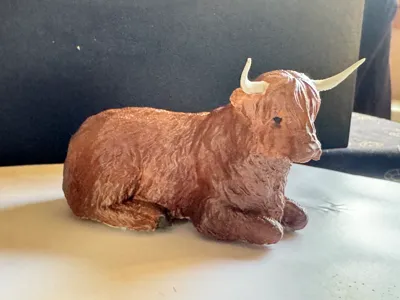 Real Highland cow - down 