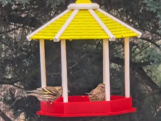 Bird Feeder - Gazebo Style