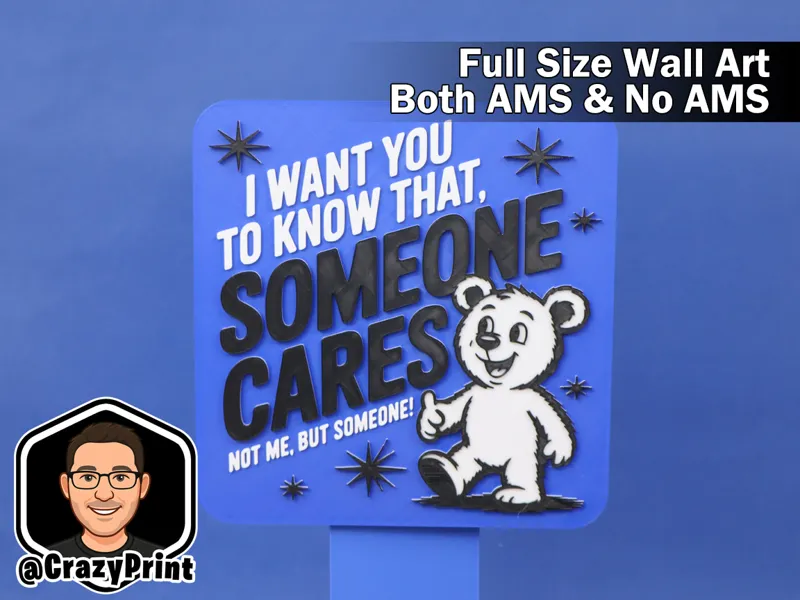Sarcastic SOMEONE CARES wall art / Sign- No AMS