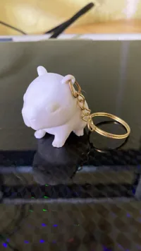 Keychain version