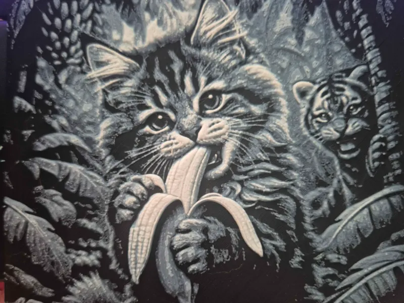 Hueforge maine coon kitten and tiger