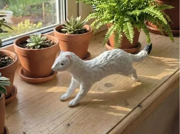 https://makerworld.bblmw.com/makerworld/model/US78c1568446086b/design/67e7432cb69efb1e.jpg