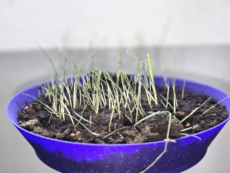 WheatTray - Gardening Tool