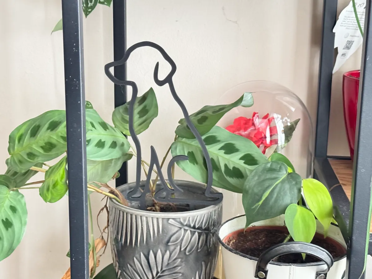 Tuteur de plante en forme de chien