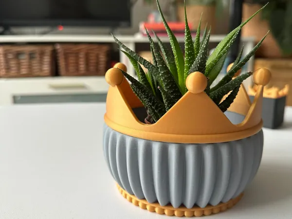 https://makerworld.bblmw.com/makerworld/model/US78c8bc14026f2d/design/2025-05-11_12b65efceeedd8.jpg