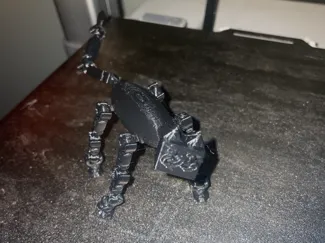 KITTY 13
