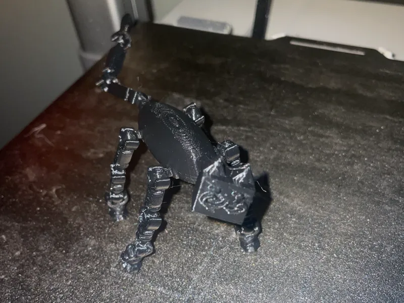 KITTY 13