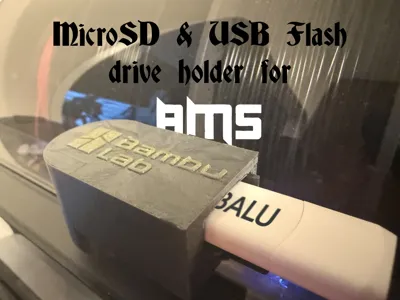 MicroSD & USB Flash drive holder for AMS