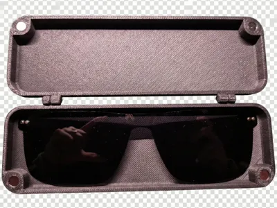 Sunglasses case (clip)
