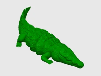 Flexi Crocodile