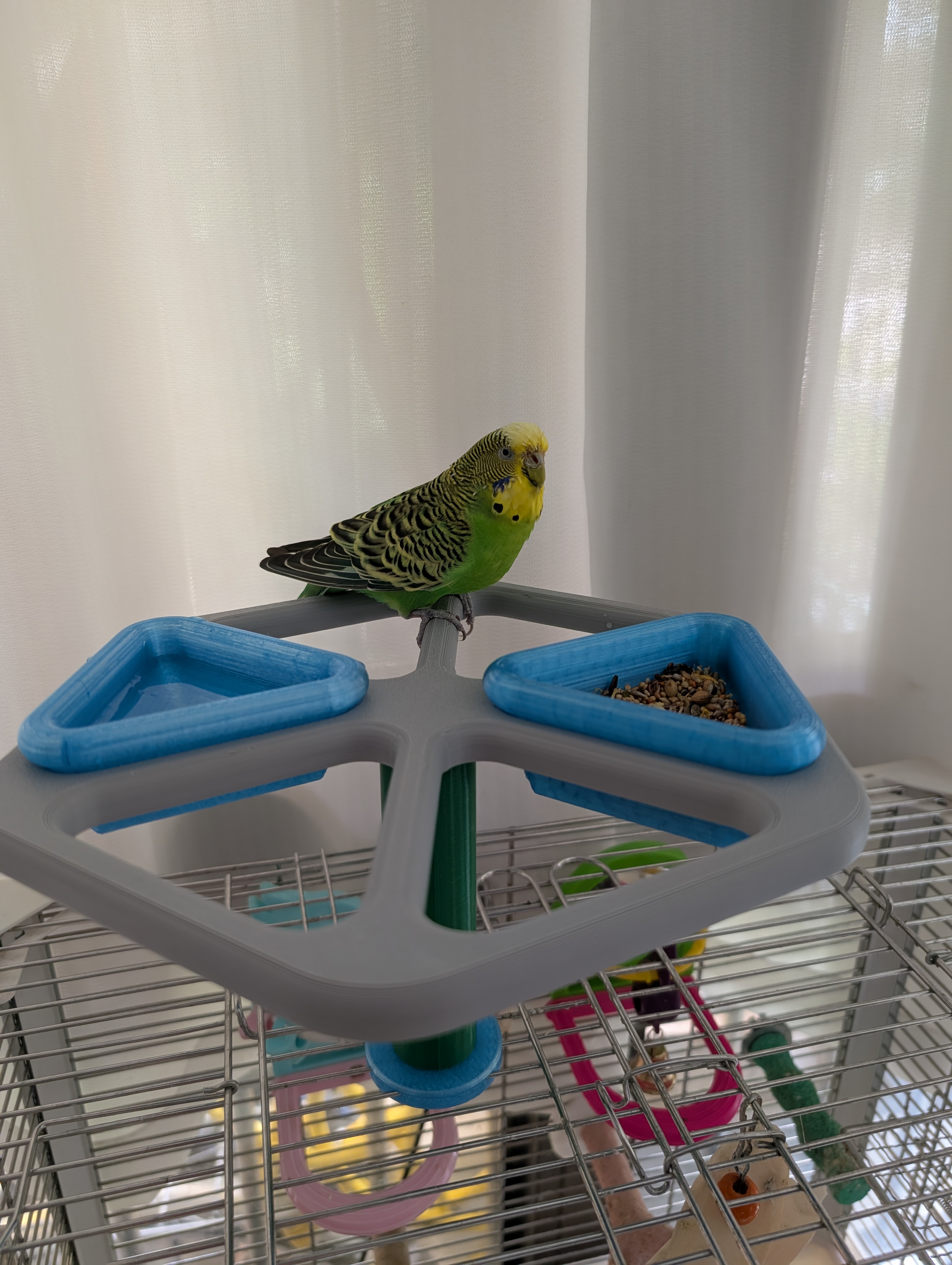 Miniatura 2 do modelo 3D Carousel Bird Feeder & Interactive Toy 