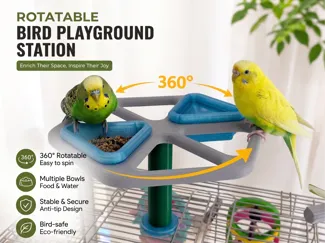 Carousel Bird Feeder & Interactive Toy 