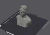 0.08mm layer, 2 walls, 15% infill