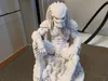 Predator sitting on a stone