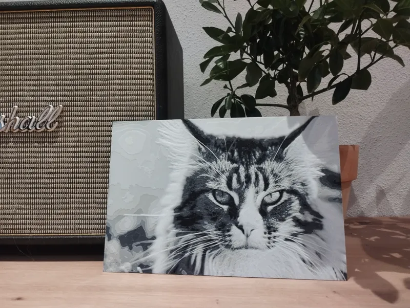 Maine Coon Cat Hueforge