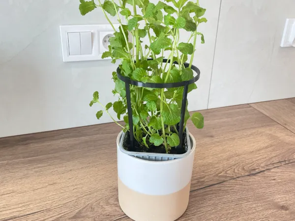 https://makerworld.bblmw.com/makerworld/model/US78dd1781afbb95/design/2025-03-15_3d64a1c3fdf71.jpg