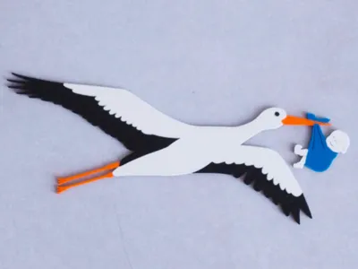 Stork with baby