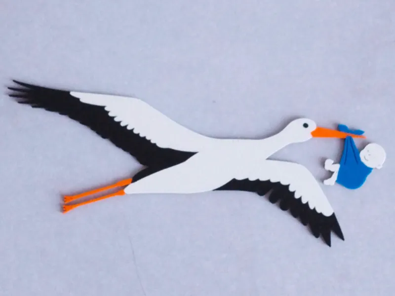 Stork with baby