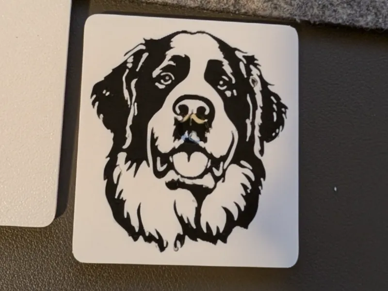 Saint Bernard Fridge Magnet Black & White Dog