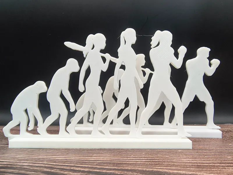 Human Evolution UFC / MMA Fighter -  Gym Decor
