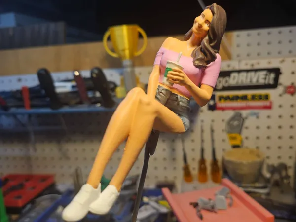 https://makerworld.bblmw.com/makerworld/model/US78e5939ce99eb1/design/36595d1f11fee4fe.jpg