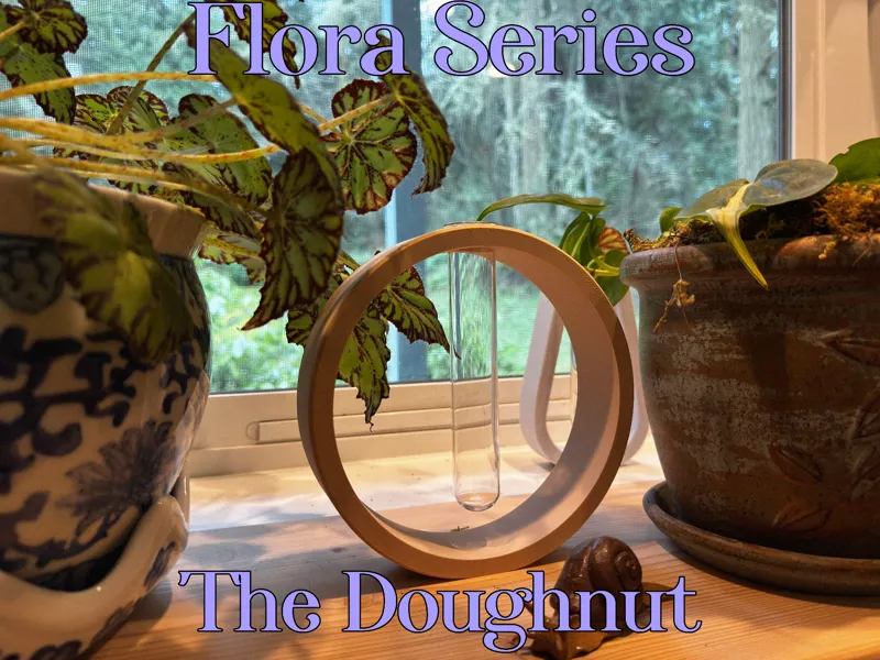 Propagation Station The Doughnut