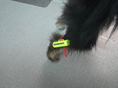 Dog leg exercise equipment
