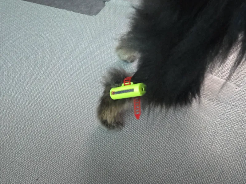 Dog leg exercise equipment