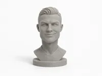 0.2mm layer, 2 walls, 8% infill