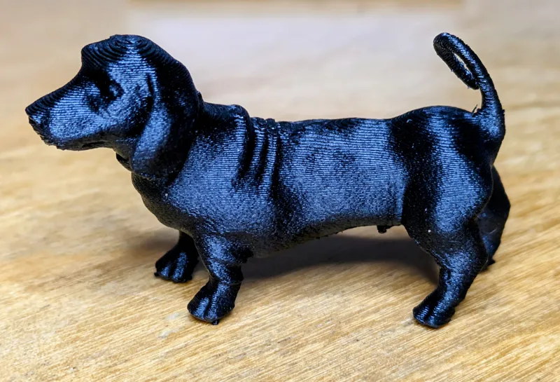 Dachshund