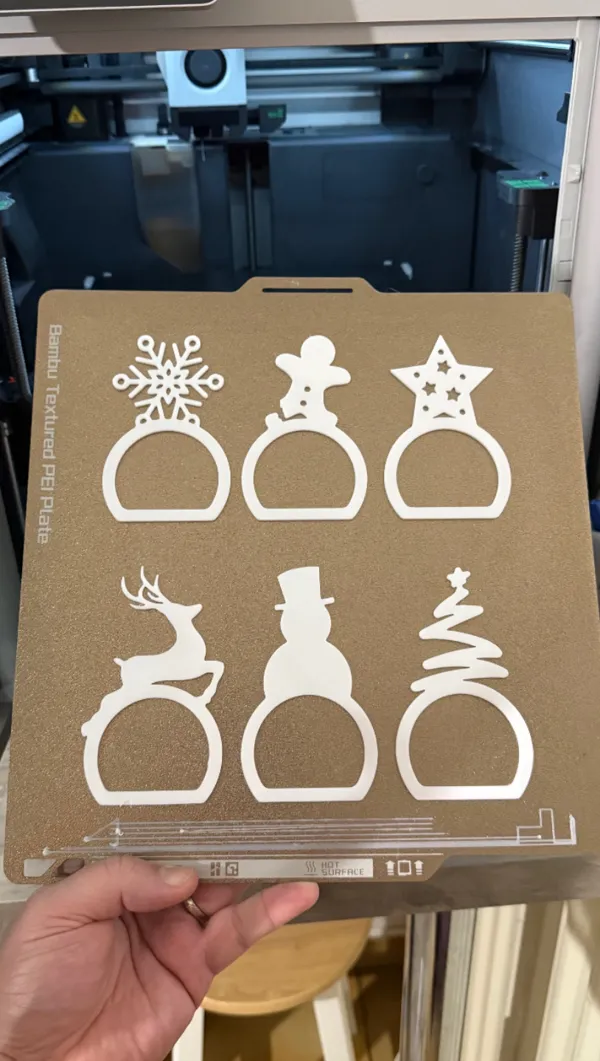 https://makerworld.bblmw.com/makerworld/model/US78ea155583980d/design/2024-11-26_089163cec6b33.jpg