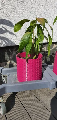 Grand pot de jardin robuste — 6 litres — photo 2