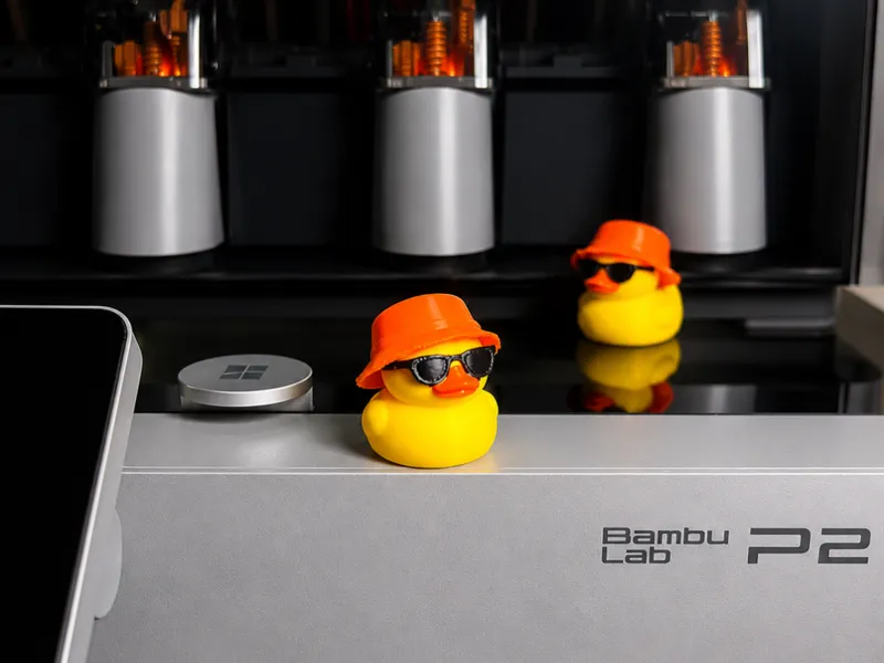 Summer Duck with Hidden feet 