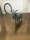 Mountain Goat big size